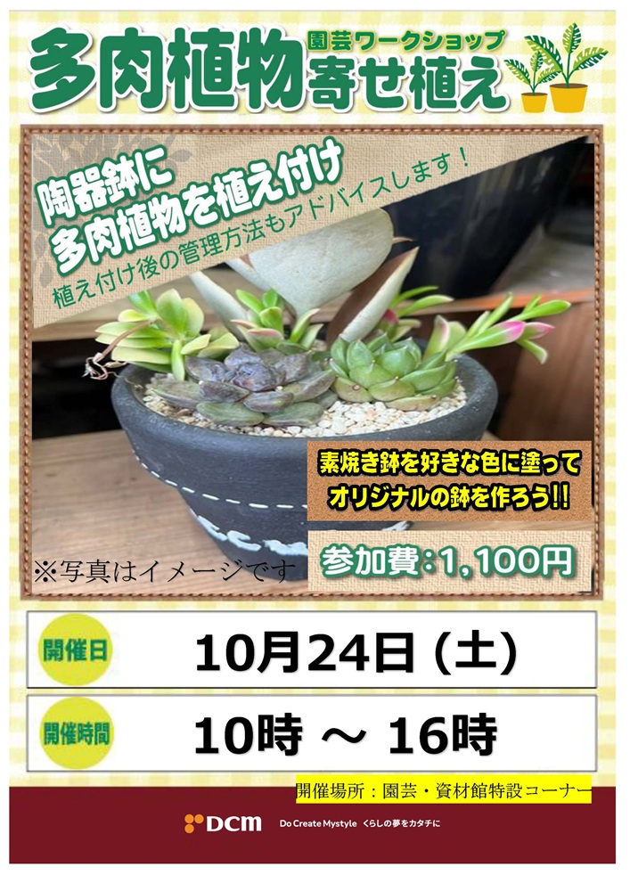 DCM 富山本郷店 多肉植物陶器鉢植えワークショップ開催!!｜イベント