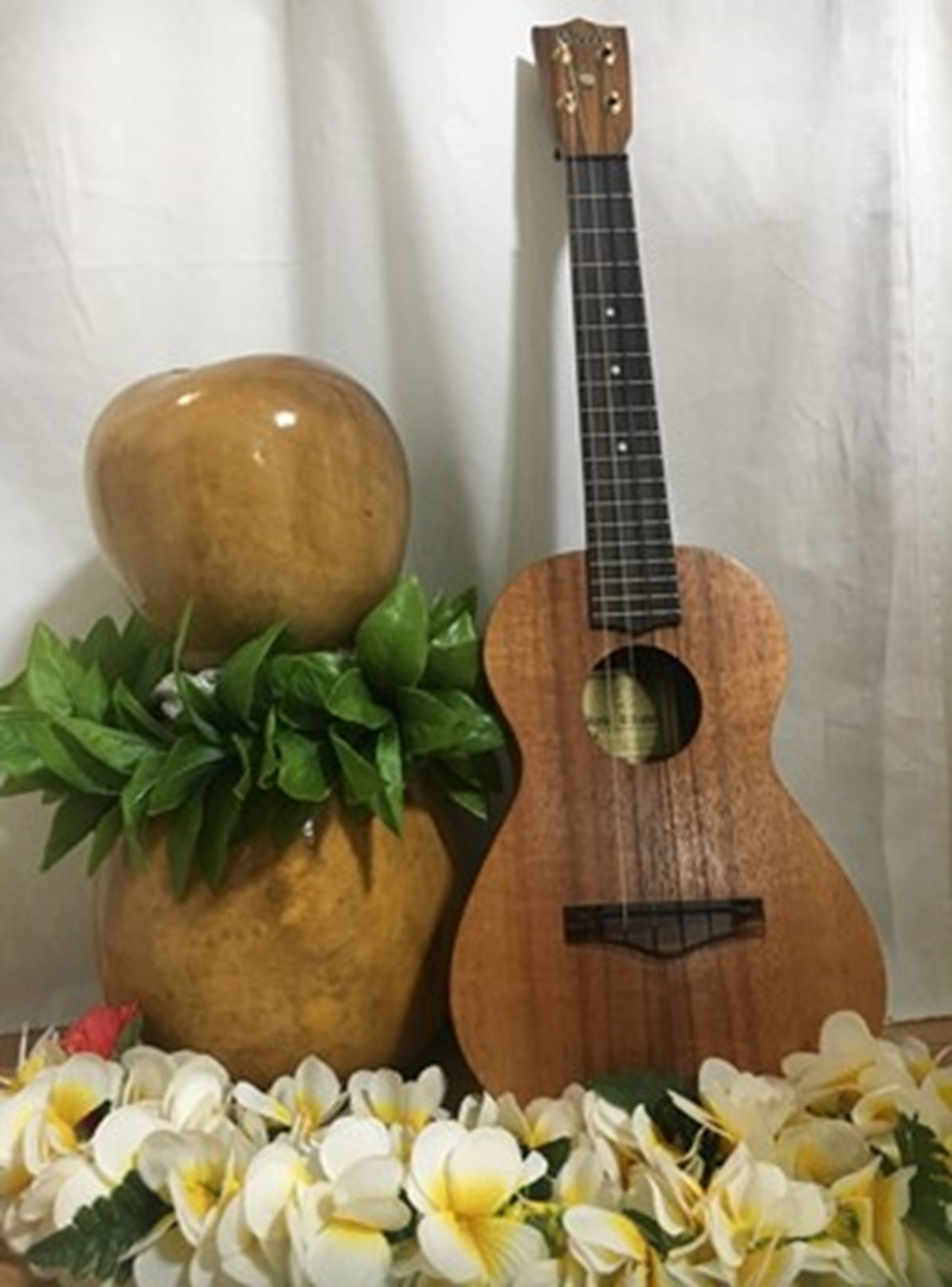 Dcmホーマック 西岡店 店舗 チラシ Dcmホーマック