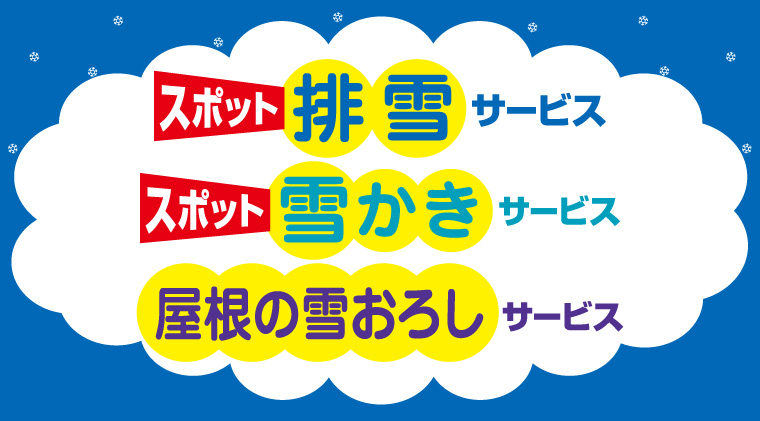 スポット除排雪サービス