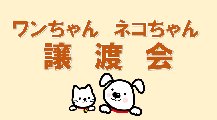 クレイスペース上尾陶房　教室作品展開催！