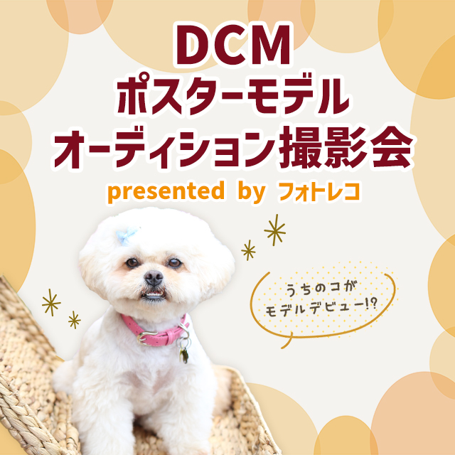 わんちゃん撮影会イベント