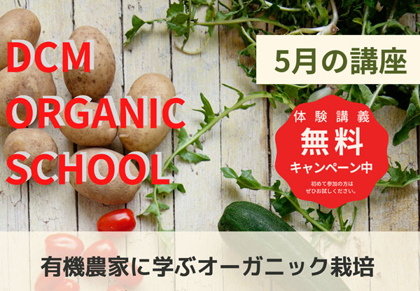 ホームセンター ｄｃｍホーマック ｄｃｍ Homac