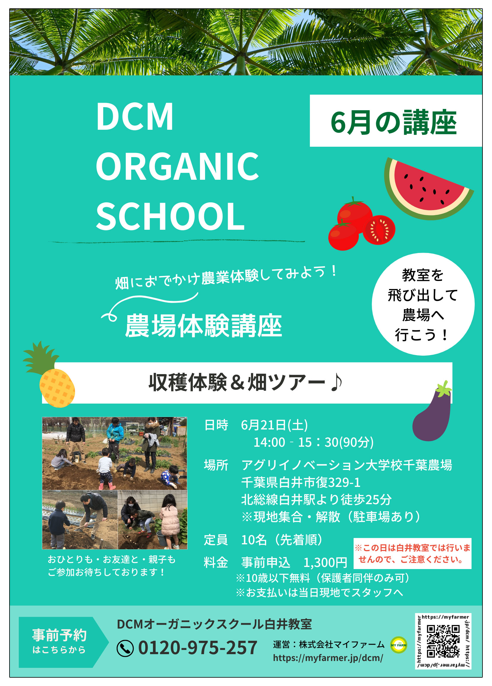 organic_06
