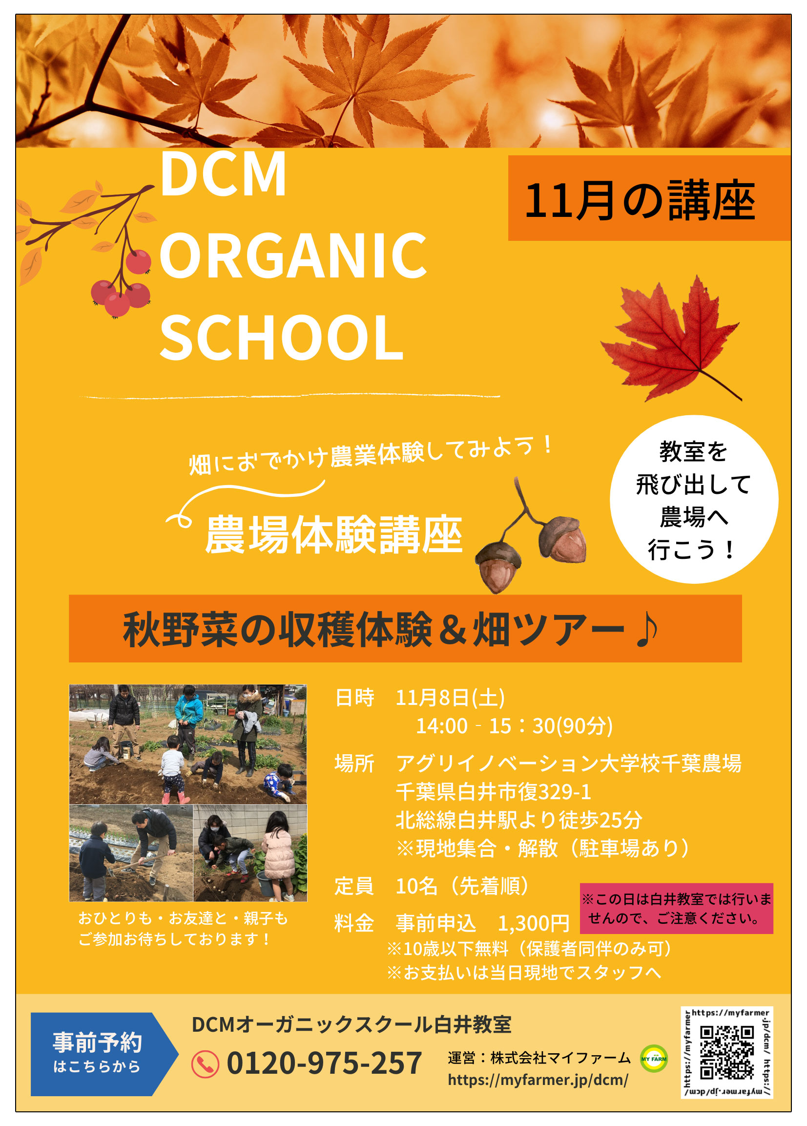 organic_06