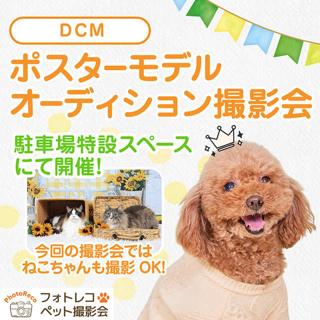 わんちゃん撮影会イベント（屋外）