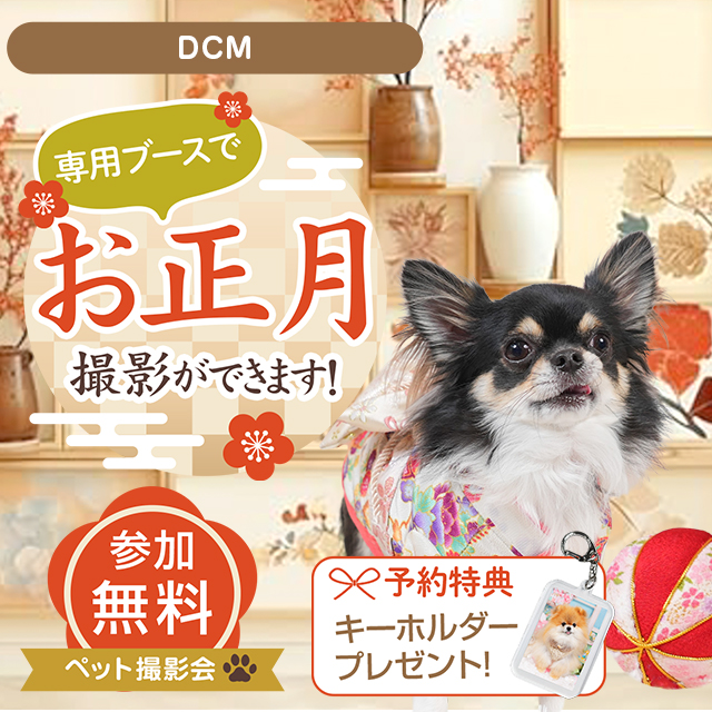 わんちゃん撮影会イベント