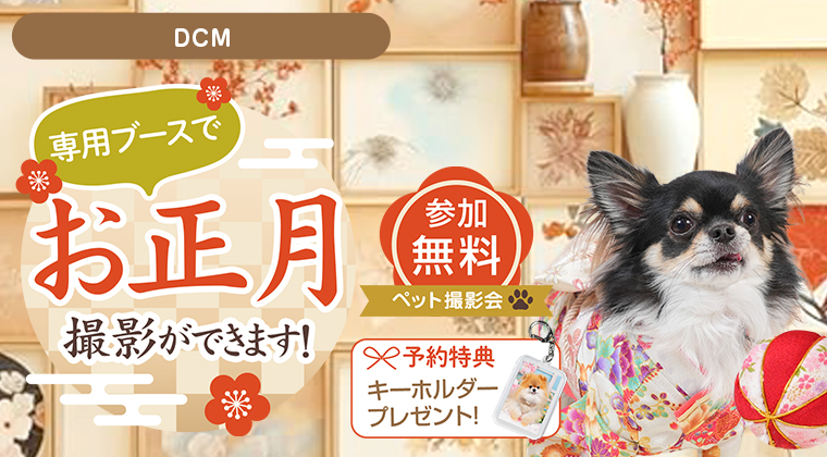 わんちゃん撮影会イベント
