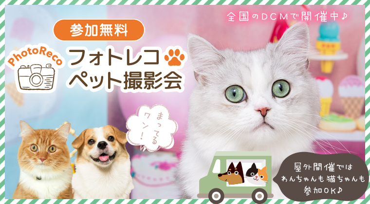 わんちゃん撮影会イベント（屋外）