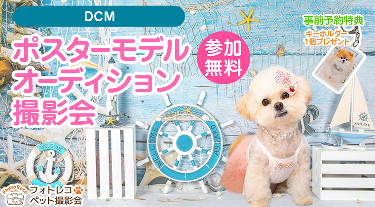 わんちゃん撮影会イベント