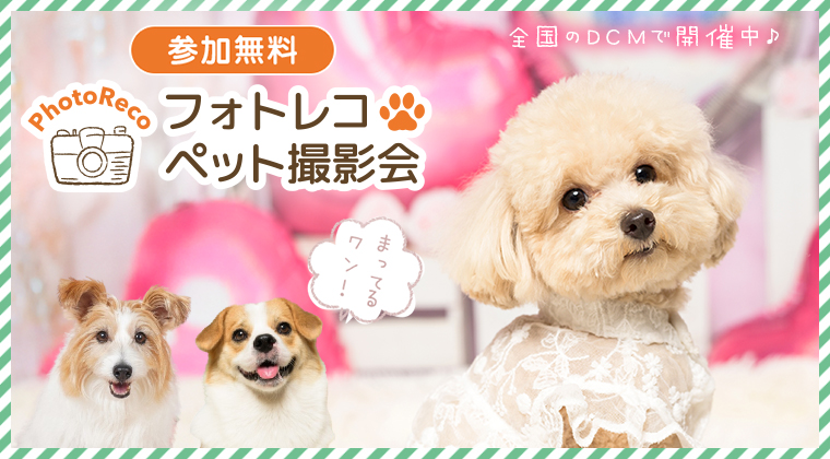 わんちゃん撮影会イベント