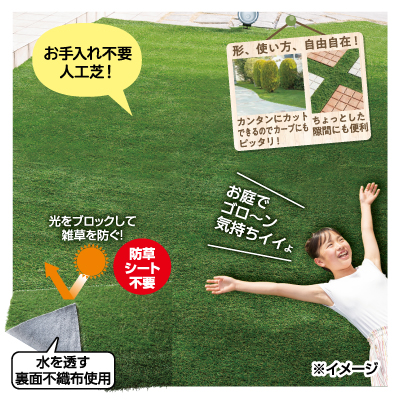 初夏のくらし応援 チラシ情報 dcm 初夏のくらし応援 チラシ情報 dcm