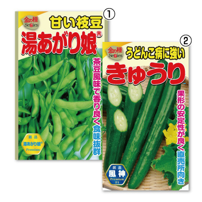 金の種