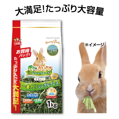バニーグレードチモシー