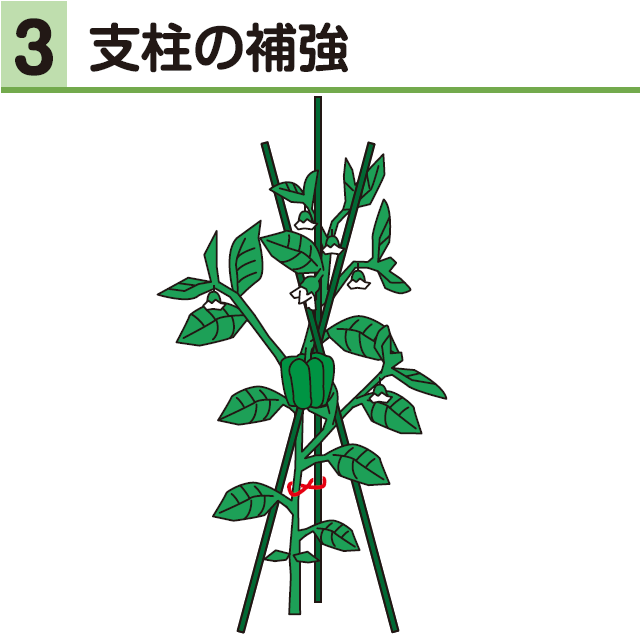 3支柱の補強