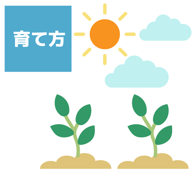 庭植え②