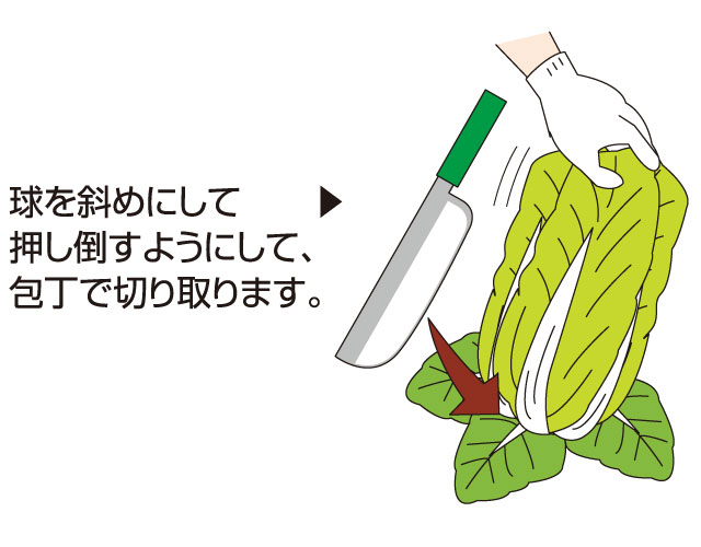 収穫