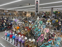 サイクルフィールド dcmカーマ サイクルフィールド dcmカーマ