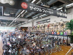 サイクルフィールド dcmカーマ サイクルフィールド dcmカーマ