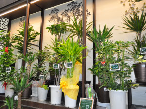 グリーンベル 21岩倉店