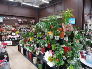 グリーンベル 21岩倉店