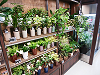 グリーンベルズ 21熱田店