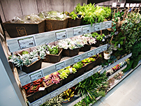 グリーンベルズ 21熱田店