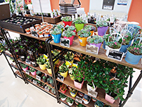 グリーンベルズ 21熱田店