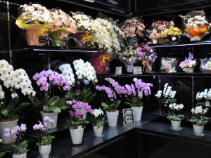 グリーンベル 21名古屋城北店