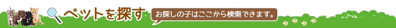 ペットを探す。お探しの子はここから検索できます。