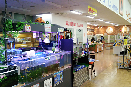 ペットコミュニティプラザ大島店