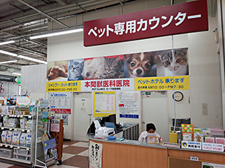 Dcmカーマのペット情報館 21岩倉店ペットコーナー 本間獣医科医院 カーマ岩倉病院