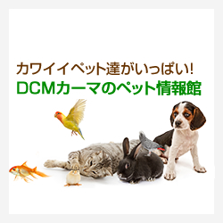 Dcmカーマのペット情報館