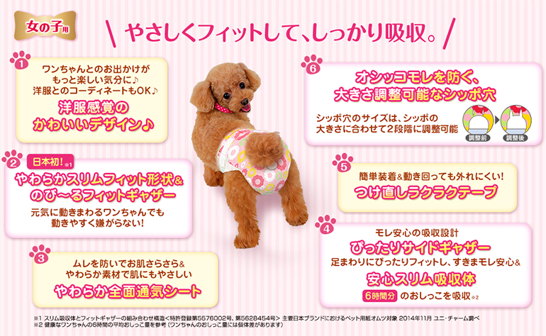 Dcmカーマのペット情報館 マナーウェア 女の子用のご紹介