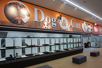 Dcmカーマのペット情報館 ペットエキスポ豊橋汐田橋店