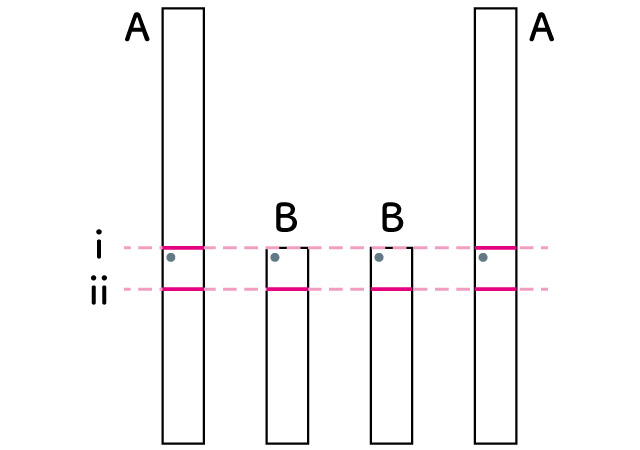 気に印を付ける