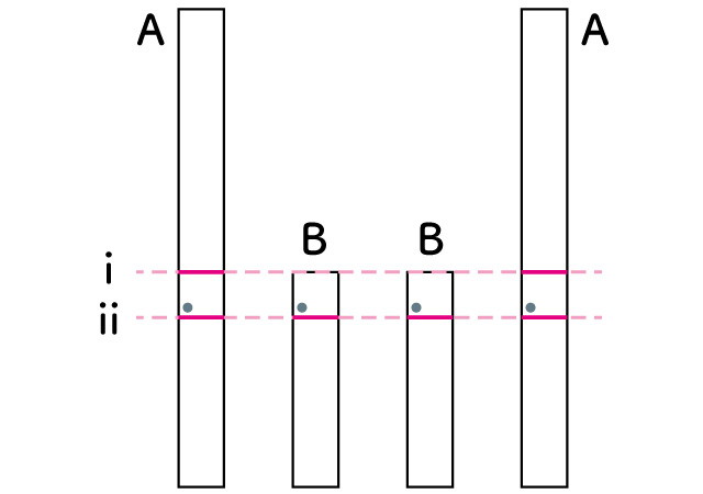 気に印を付ける
