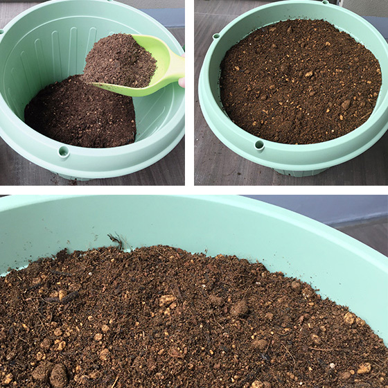 プランターに培養土を入れる