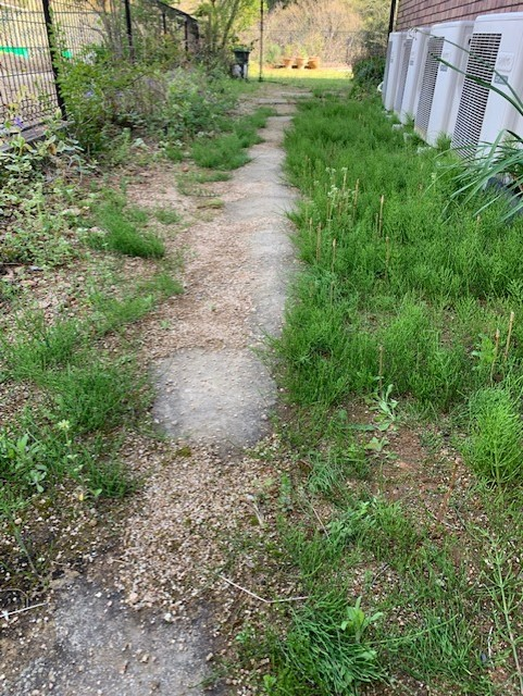 DCM おうちの草コロリ7