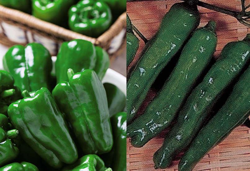 ピーマン　シシトウ