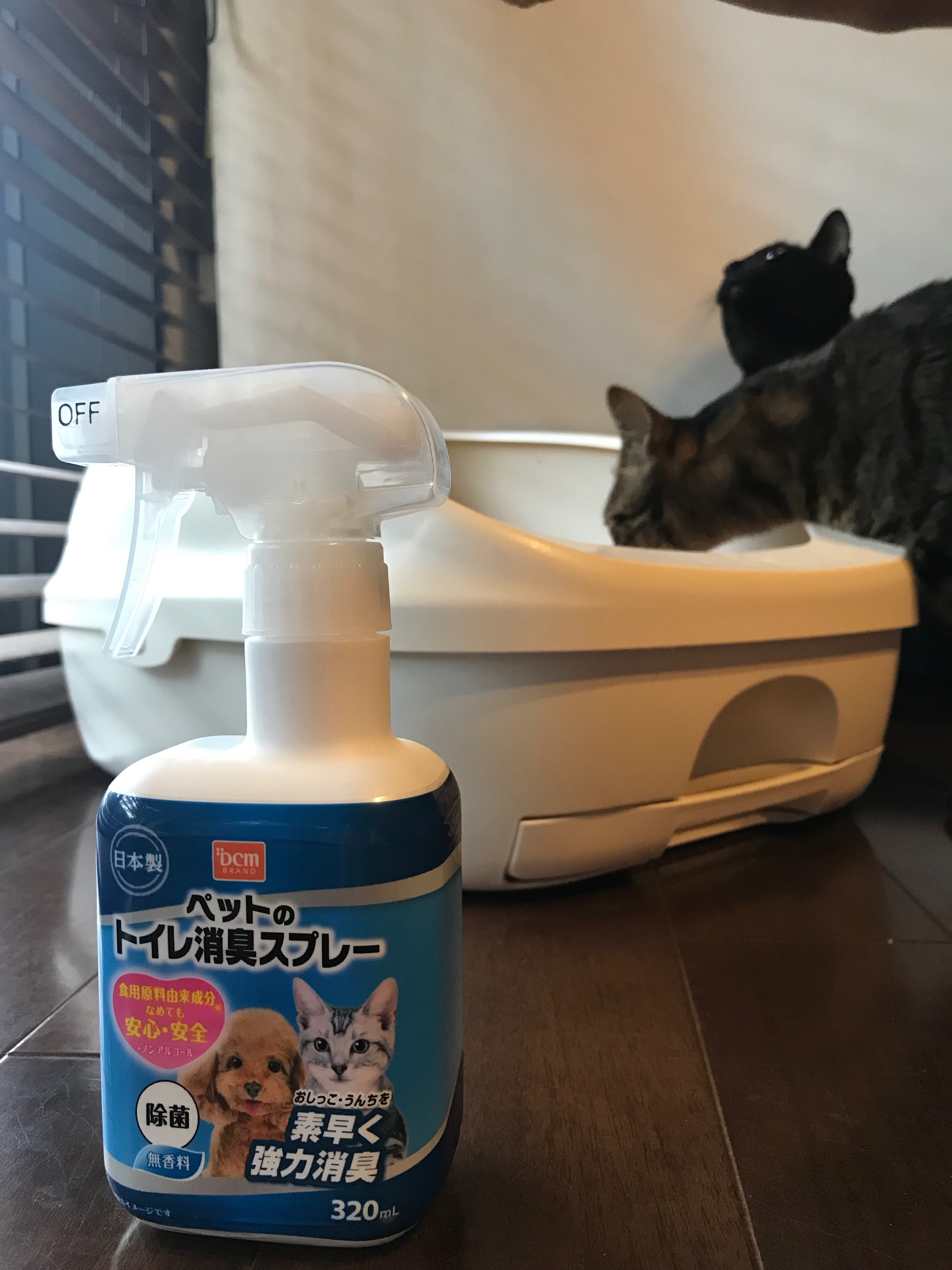 ペットのニオイが気になったら シュッと強力消臭 ペットのトイレ消臭スプレー 主婦モニターの品評会 連載 コラム くらしメイド dcm ペットのニオイが気になったら シュッと強力消臭 ペットのトイレ消臭スプレー 主婦モニターの品評会 連載 コラム くらしメイド dcm