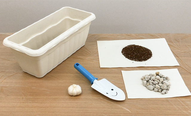 初心者にもオススメ！にんにくの植え方1