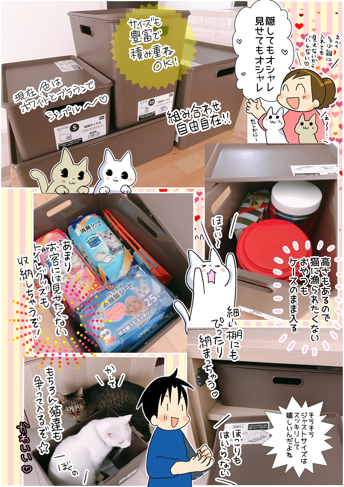 猫グッズは 隠す収納 でスッキリ美部屋 グリ ボンち 連載 コラム くらしメイド ｄｃｍ