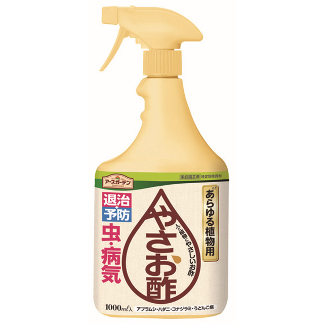 アブラムシ退治 有効な対策はあるのか コラムカテゴリー お役立ち コラム くらしメイド ｄｃｍ