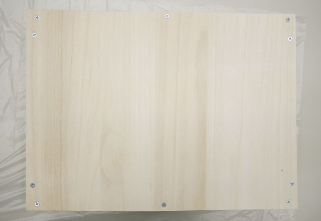 固定したところ