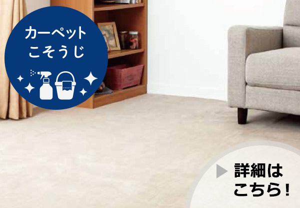 こそうじ  ～カーペットのお掃除～