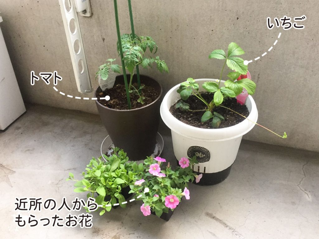 ベランダの一角で始まる小さな可愛いガーデン コラムカテゴリー インテリア コラム くらしメイド ｄｃｍ