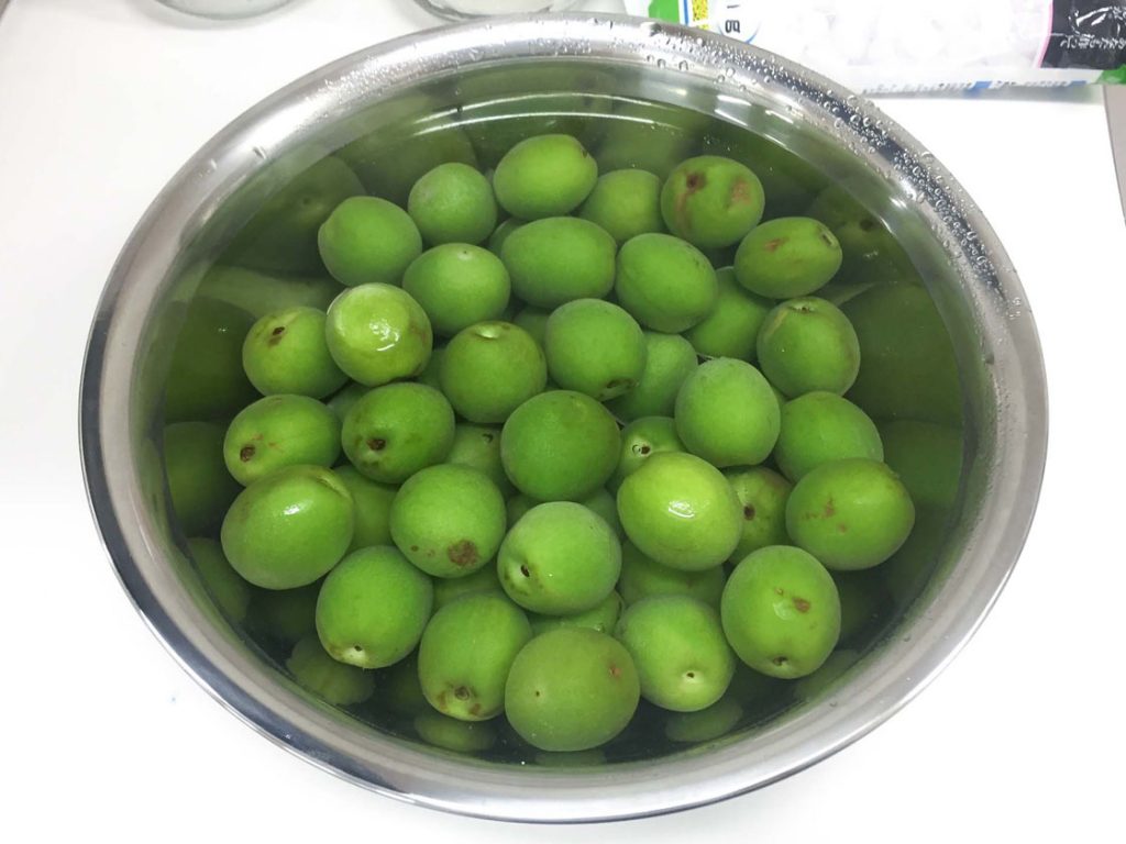 【梅酒の作り方】失敗した梅酒に再チャレンジ！カビが生えない梅酒の作り方