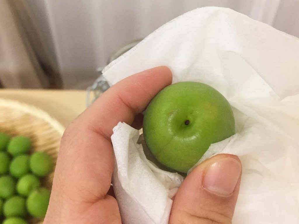 【梅酒の作り方】失敗した梅酒に再チャレンジ！カビが生えない梅酒の作り方