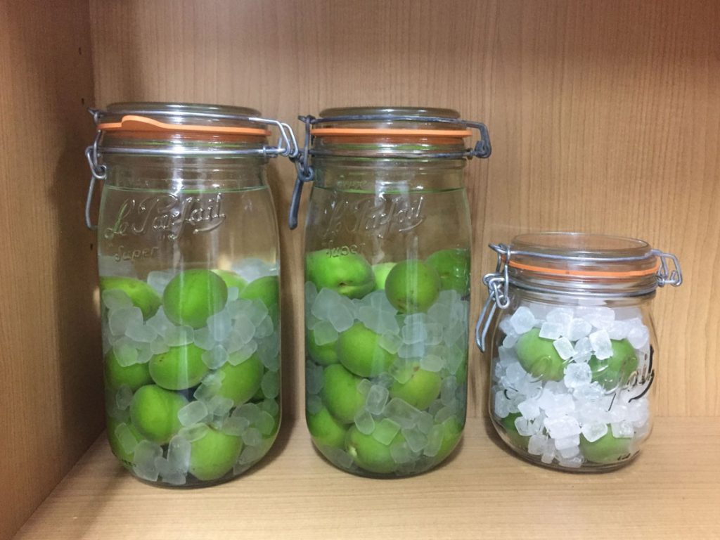 【梅酒の作り方】失敗した梅酒に再チャレンジ！カビが生えない梅酒の作り方