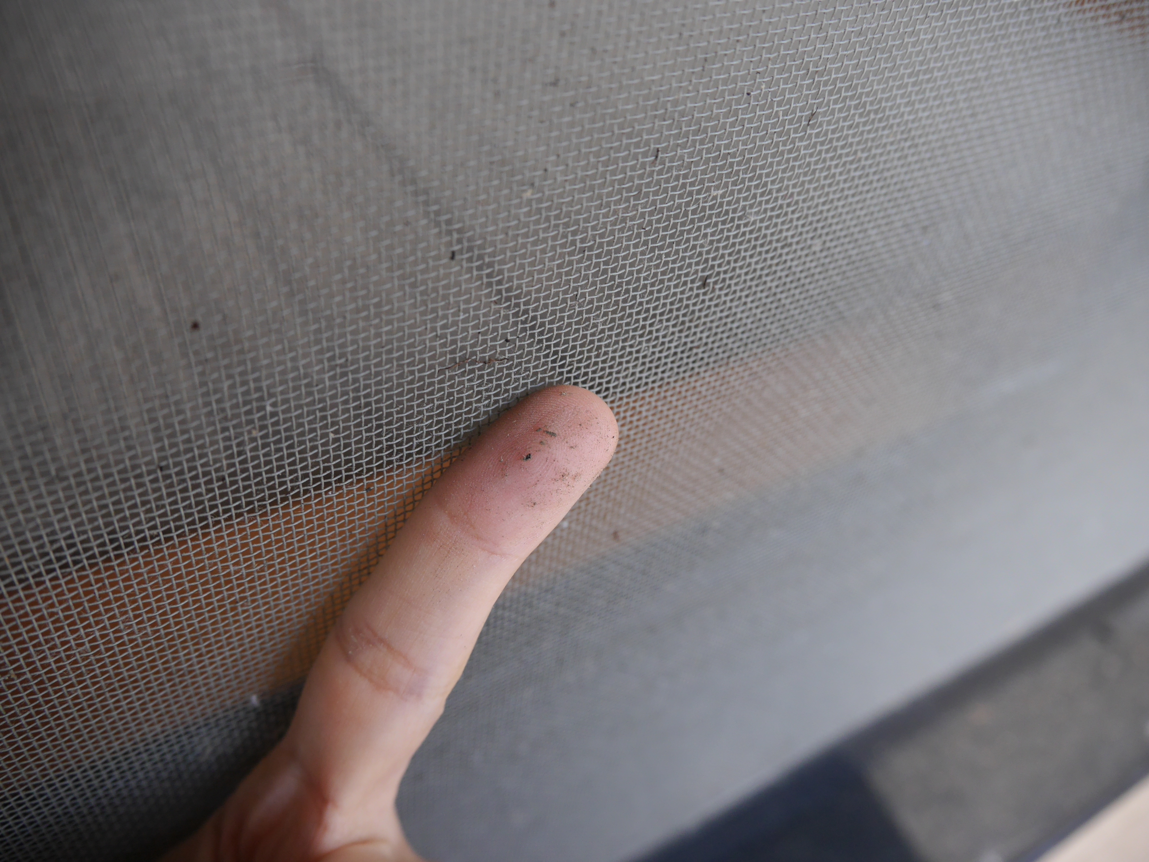 【第1回】網戸掃除に近道はあるのか！